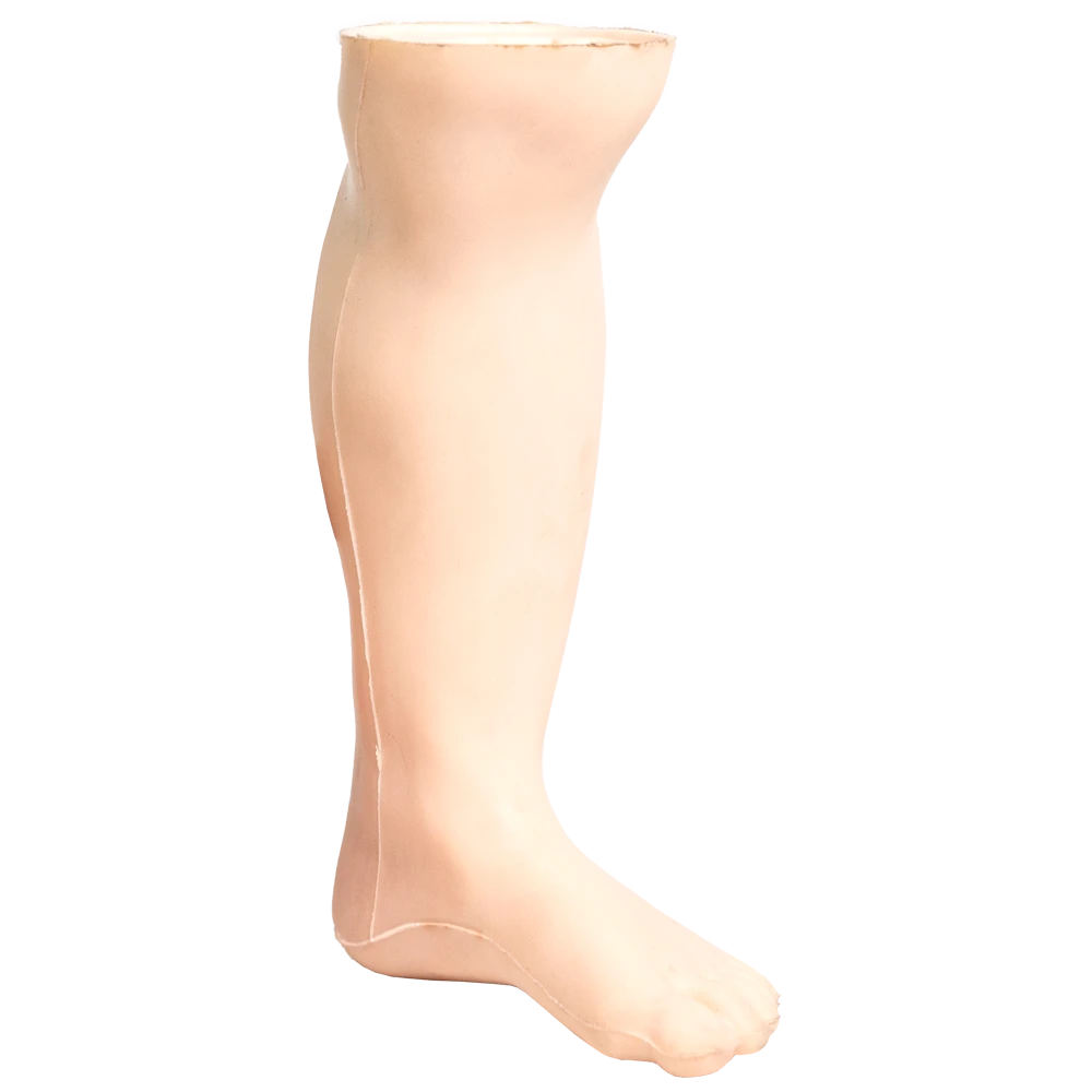 Demo Leg Infant